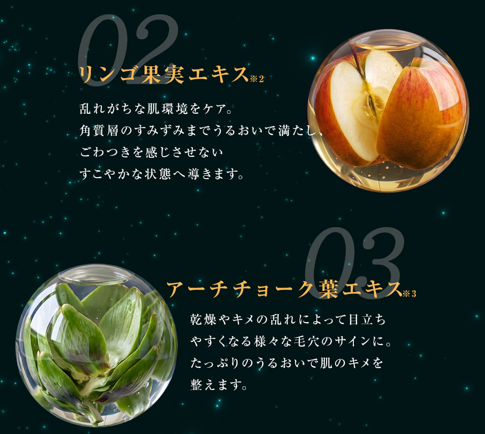 02 リンゴ果実エキス 乱れがちな肌環境をケア。角質層のすみずみまでうるおいで満たし、ごわつきを感じさせないすこやかな状態へ導きます。/03 アーチチョーク葉エキス 乾燥やキメの乱れによって目立ちやすくなる様々な毛穴のサインに。たっぷりのうるおいで肌のキメを整えます。